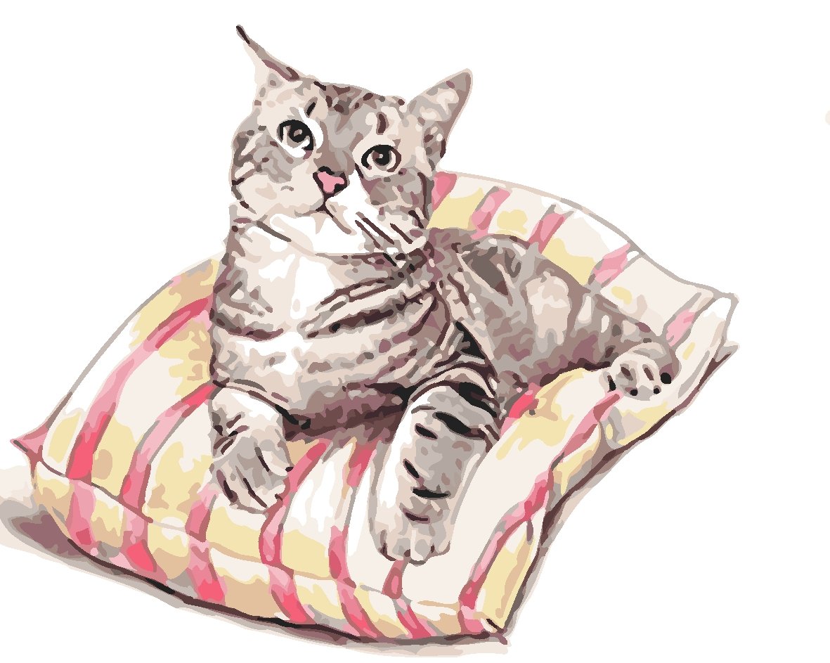 Hund & Katze Malen Nach Zahlen JW216