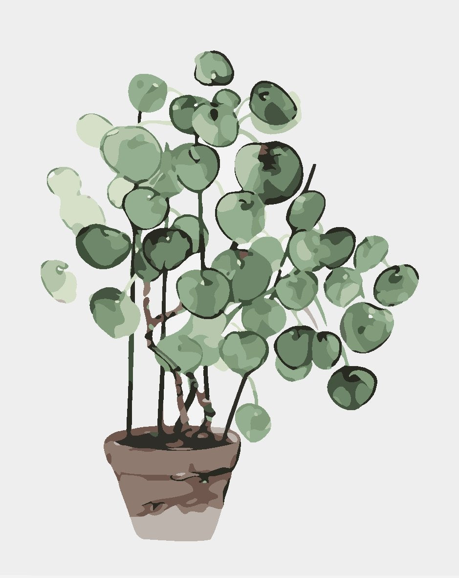 Blume Malen Nach Zahlen Für Erwachsene JW226