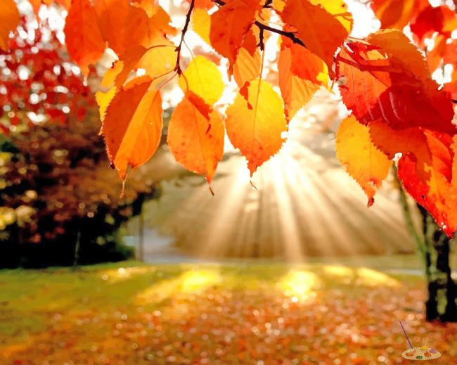 Blume Malen nach Zahlen LEV7919