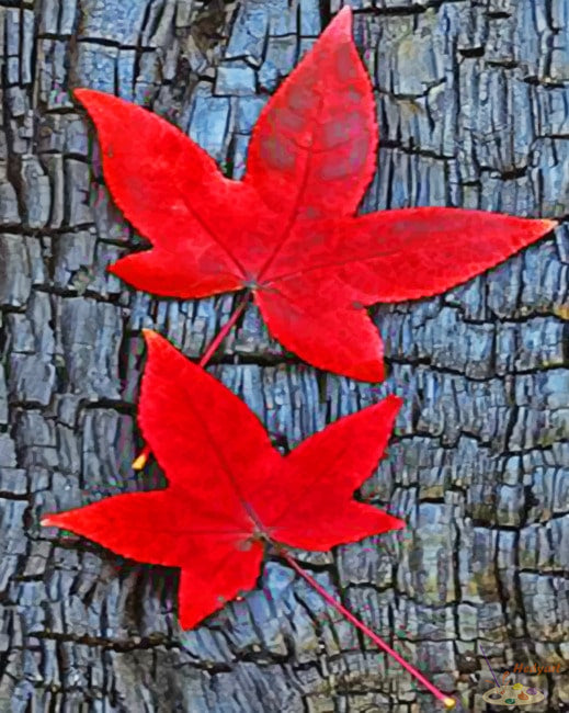 Blume Malen nach Zahlen LEV7923