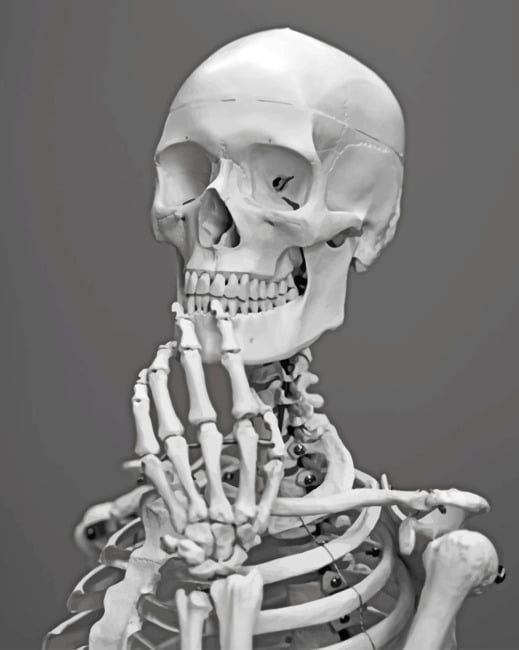 Beliebtes Muster Malen nach Zahlen LG1212