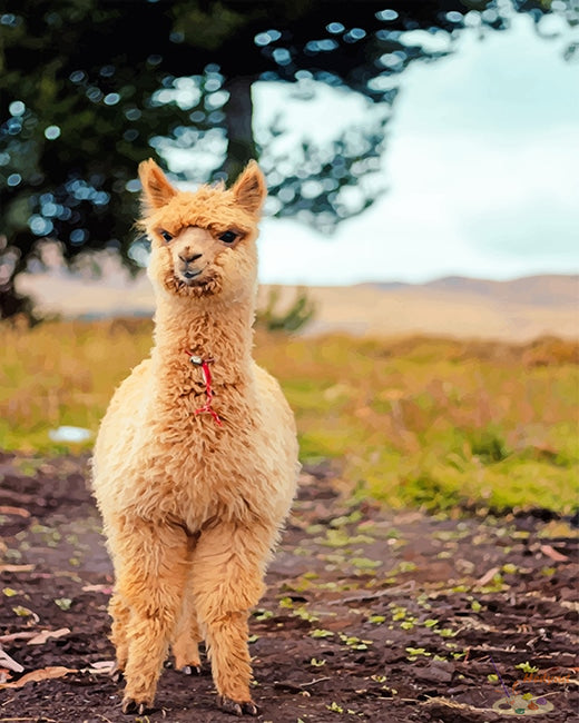 Tier Malen nach Zahlen LMA8853