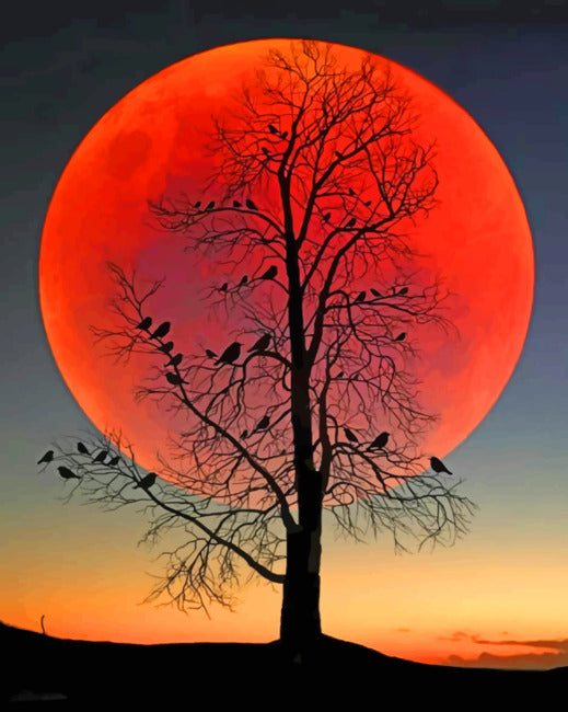 Landschaft Malen nach Zahlen MN1901