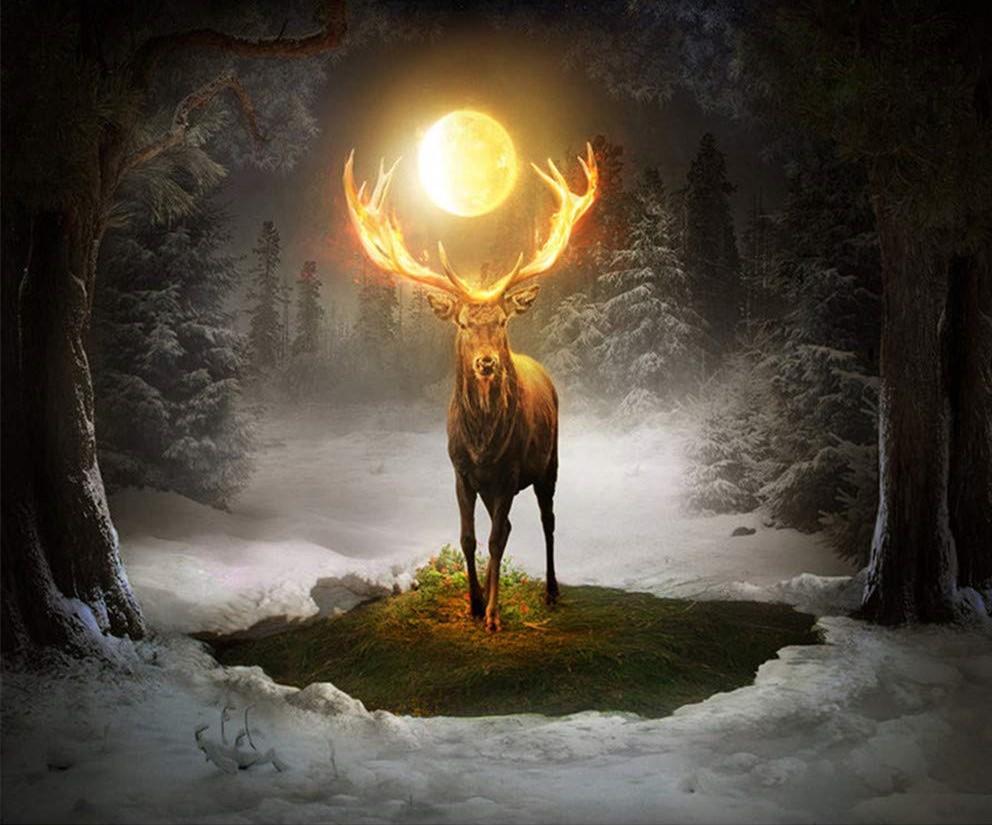 Landschaft Malen nach Zahlen MN1909