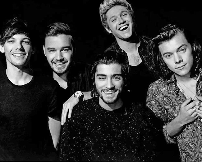 Porträt Malen nach Zahlen OD9769