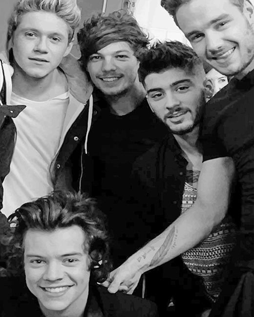 Porträt Malen nach Zahlen OD9770