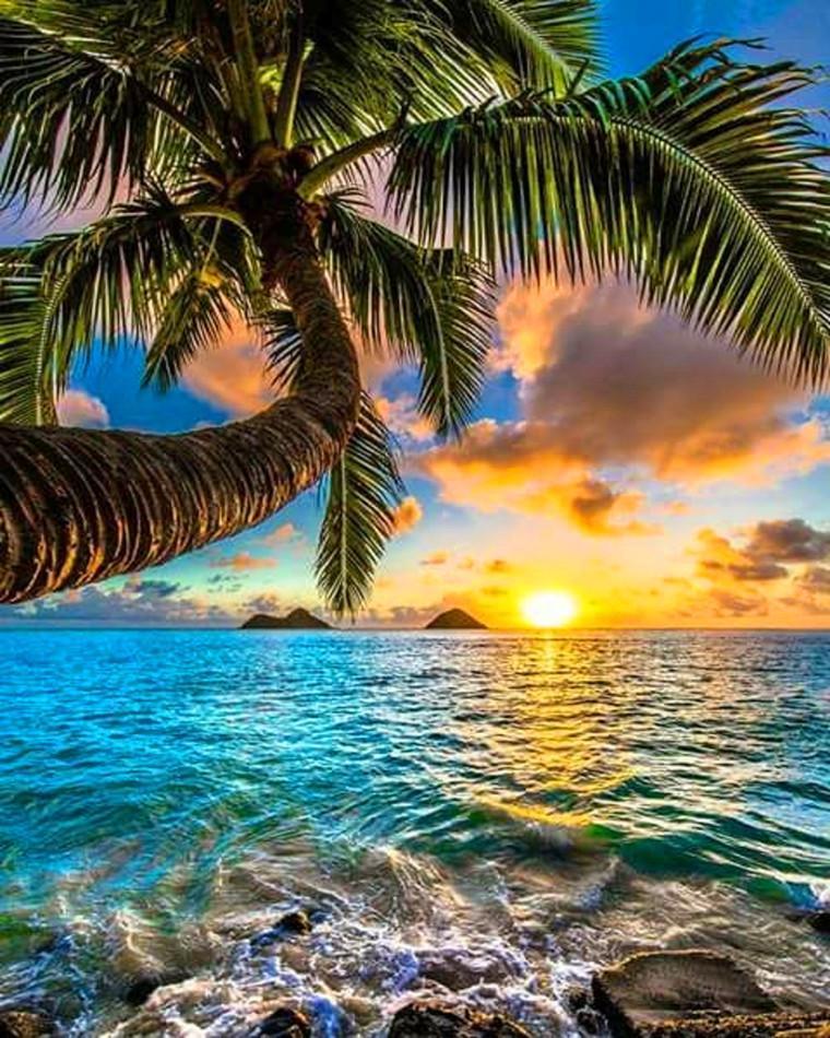 Meereslandschaft Malen nach Zahlen OTG6124