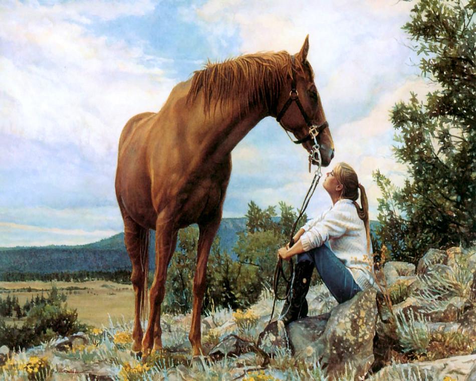 Tier Pferd Malen Nach Zahlen Für Erwachsene OTG6143