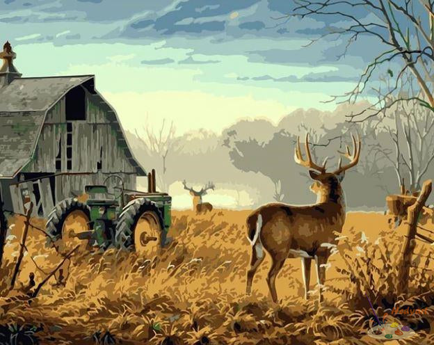 Tier Malen nach Zahlen OTP3466