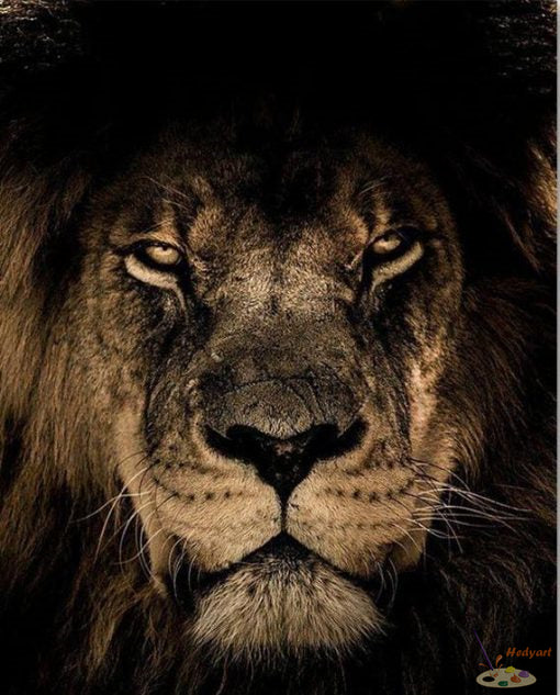 Tier Malen nach Zahlen OTP3501