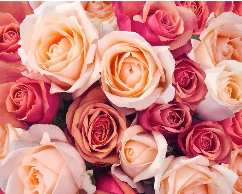 Blume Malen nach Zahlen OTP3515