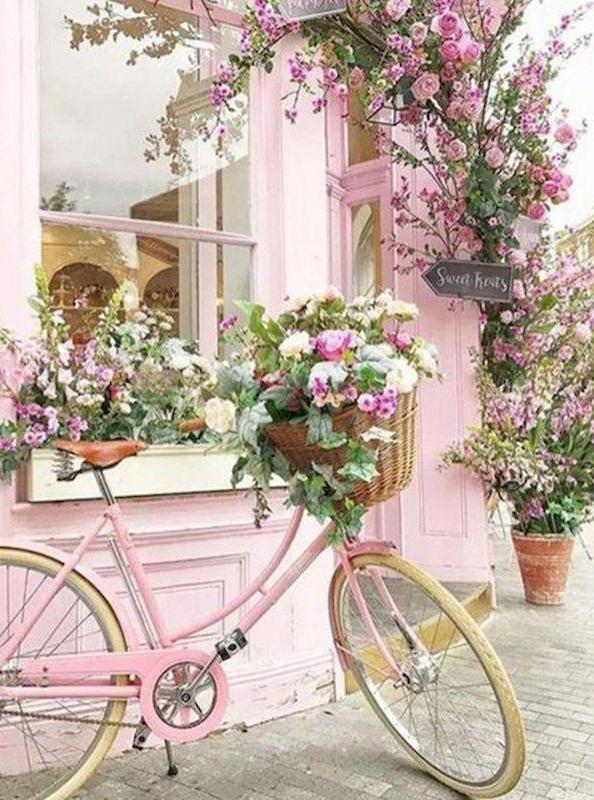 Stillleben Malen nach Zahlen OTP3543