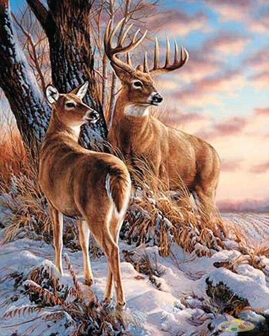 Tier Malen nach Zahlen OTP3577