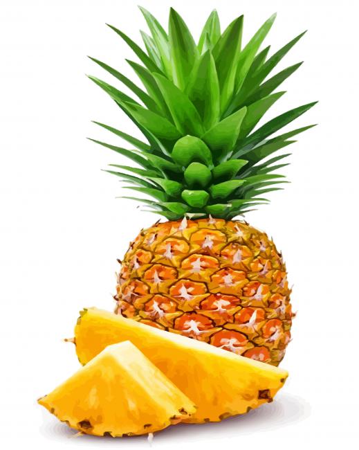 Stillleben Malen nach Zahlen PIA3114