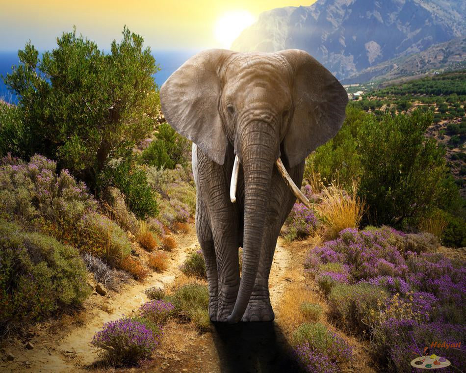 Tier Malen nach Zahlen RA3205