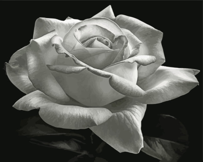 Blume Malen nach Zahlen ROBW1201