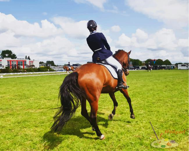 Sport Malen nach Zahlen SPT3704