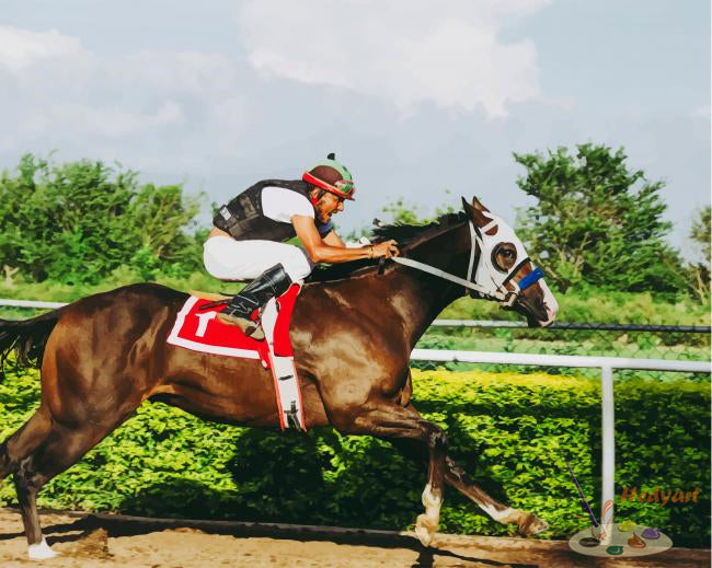 Sport Malen nach Zahlen SPT3705