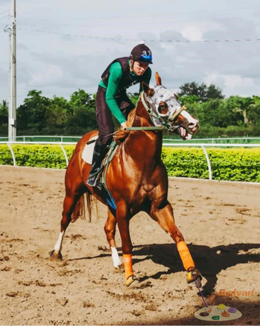 Sport Malen nach Zahlen SPT3742