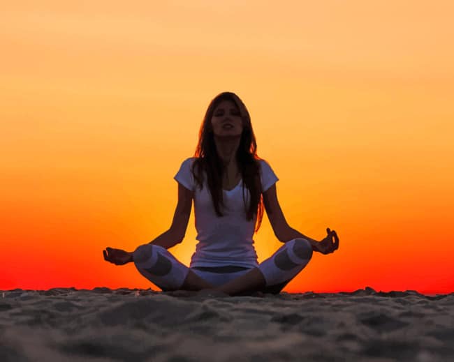 Porträt Malen nach Zahlen SPT3743