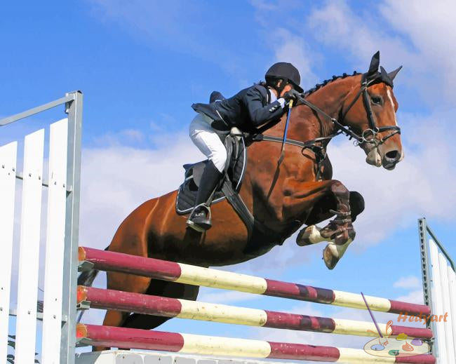 Sport Malen nach Zahlen SPT3747