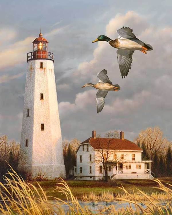 Meereslandschaft Malen nach Zahlen SQ4068