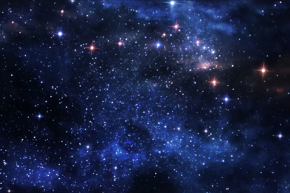 Natur Malen nach Zahlen SS8701