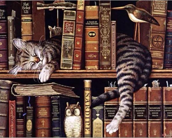 Hund & Katze Malen nach Zahlen TCR3112