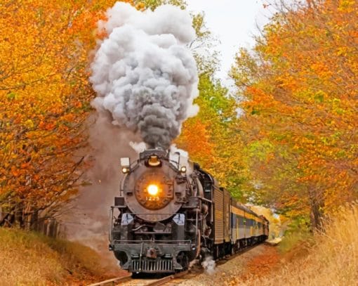 Motor Malen nach Zahlen TR5631