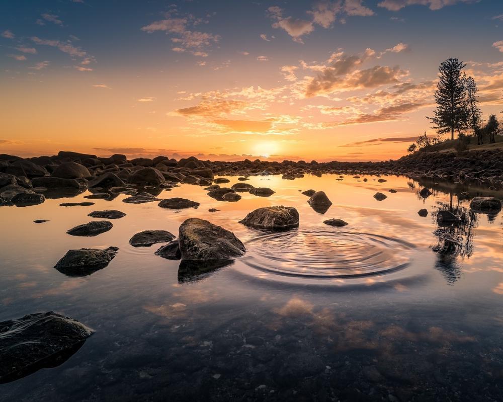 Natürlich Malen Nach Zahlen VM55402