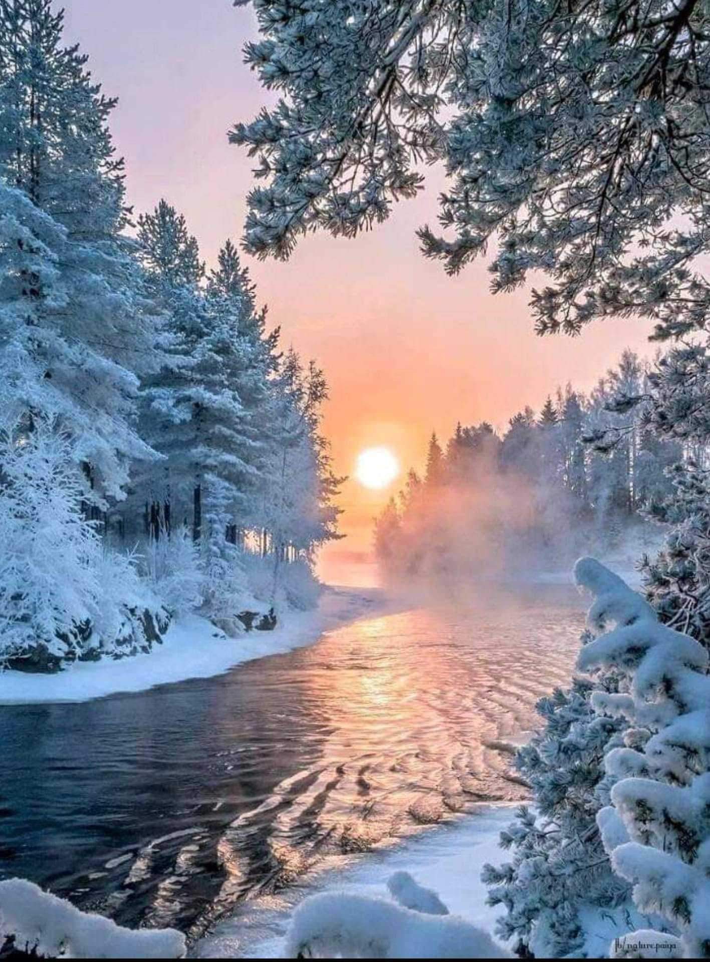 Natur Malen nach Zahlen VM91513