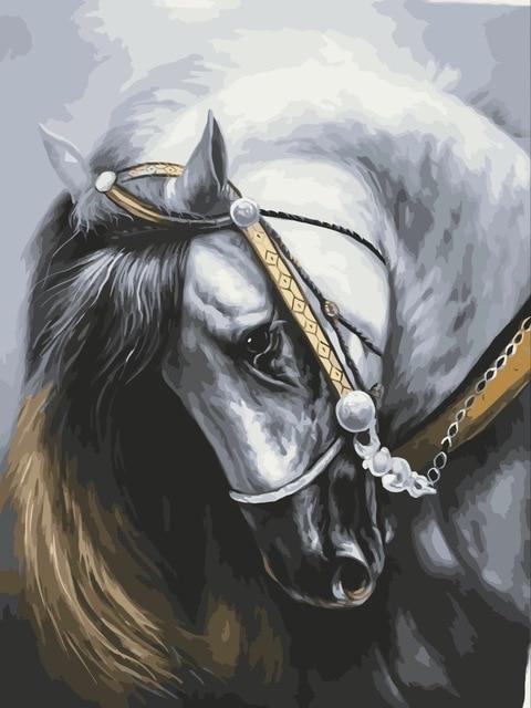 Tier Malen Nach Zahlen VM92633