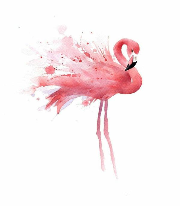 Flamingo Malen Nach Zahlen VM97934