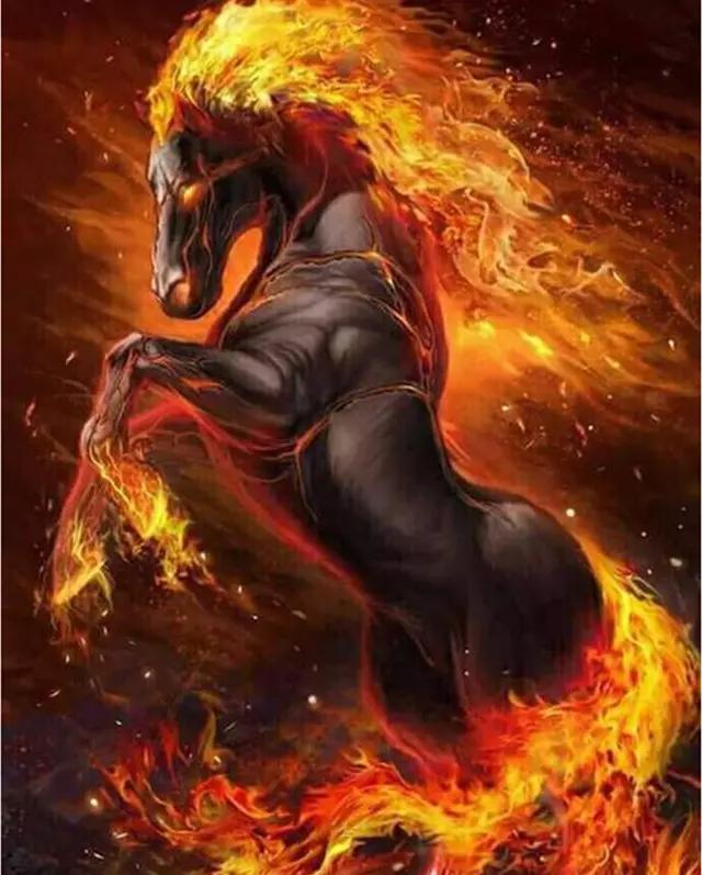 Tier Malen nach Zahlen For Adult WH-3001