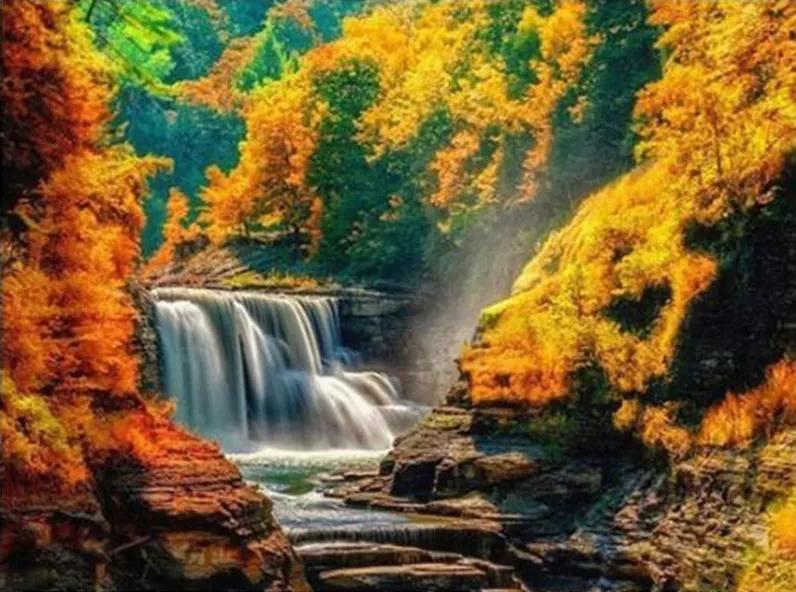 Natürlich Malen nach Zahlen For Adult WH-3006