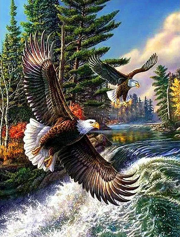 Vogel Malen nach Zahlen WH-3044