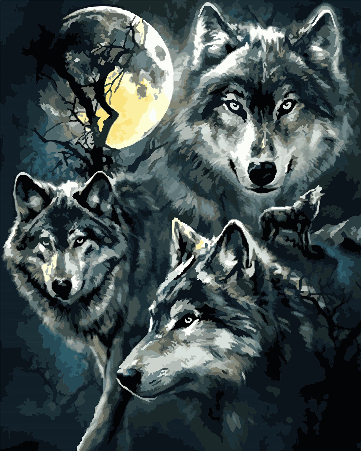 Tier Malen nach Zahlen WH-80657