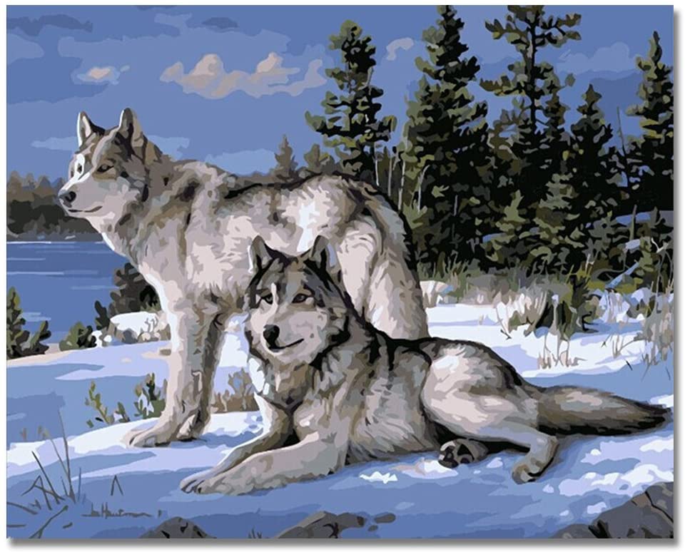 Tier Malen nach Zahlen WH-B6125