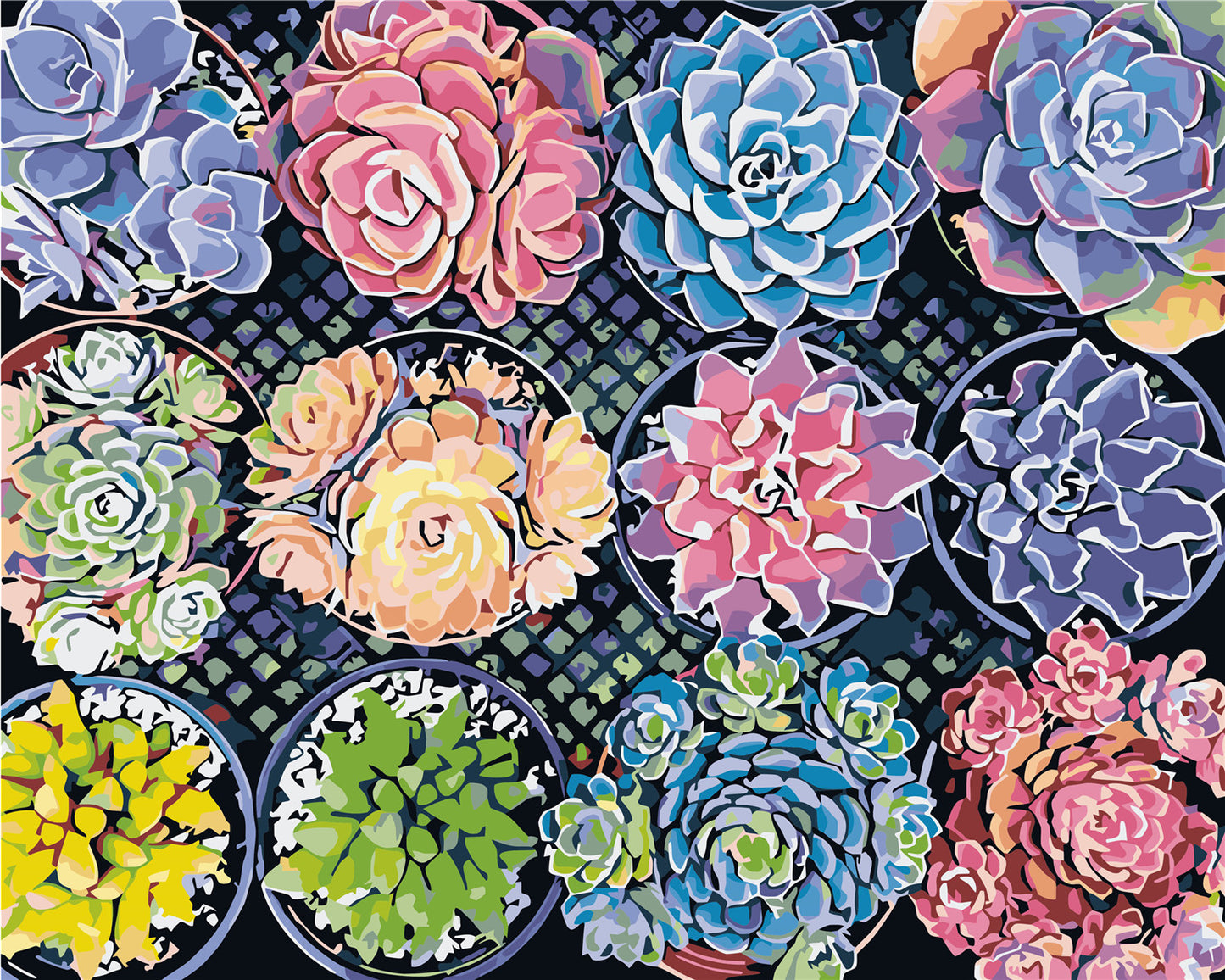 Blume Malen nach Zahlen WH6200