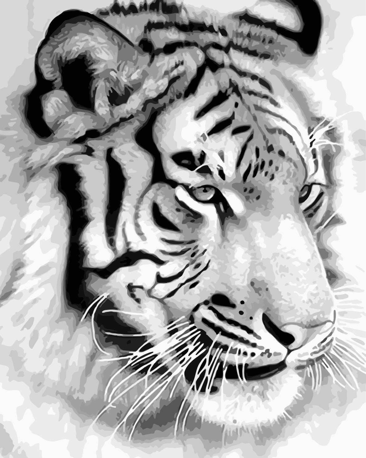 Tier Malen nach Zahlen WM-351-1