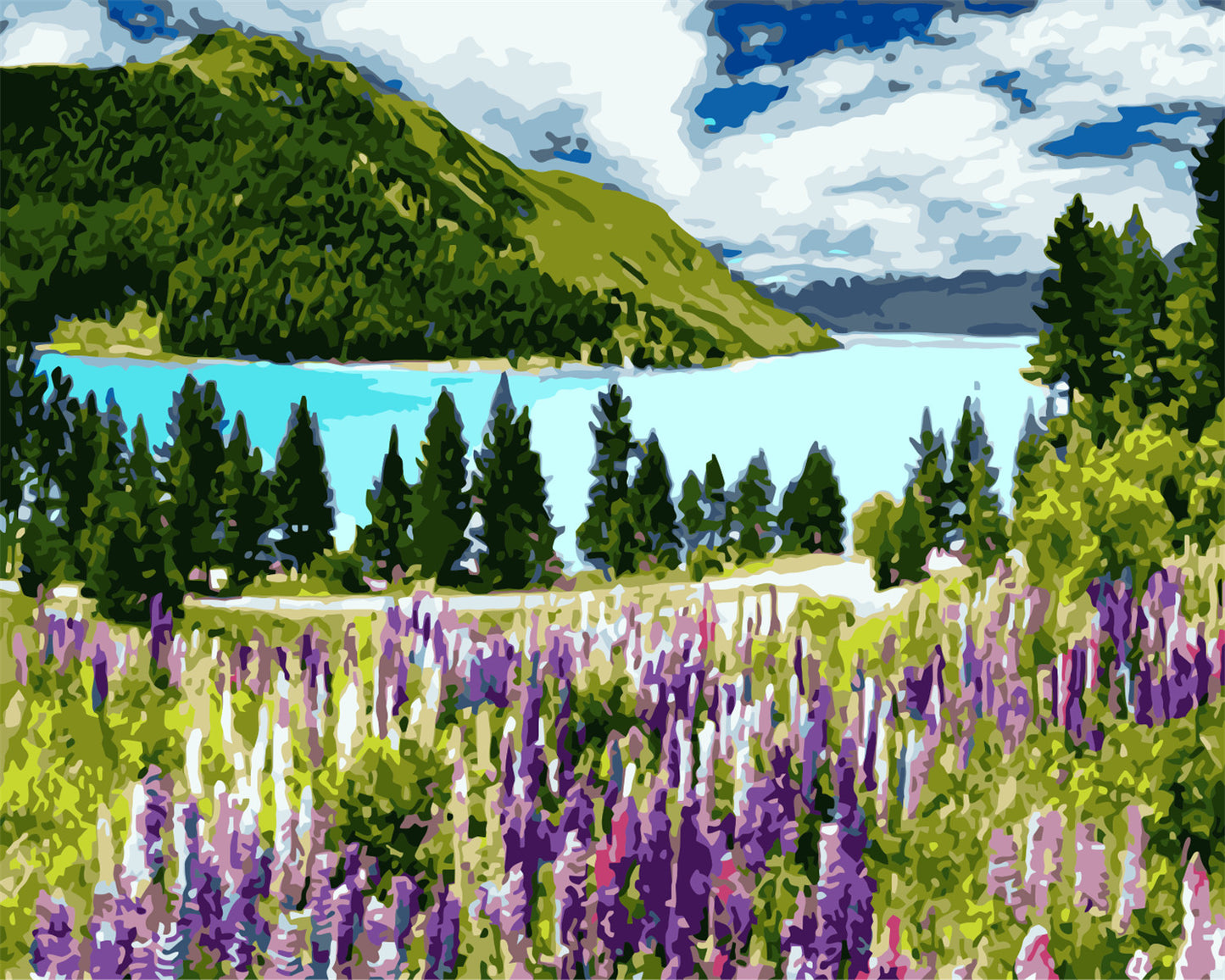 Natürlich Malen nach Zahlen Für Erwachsene WM-386