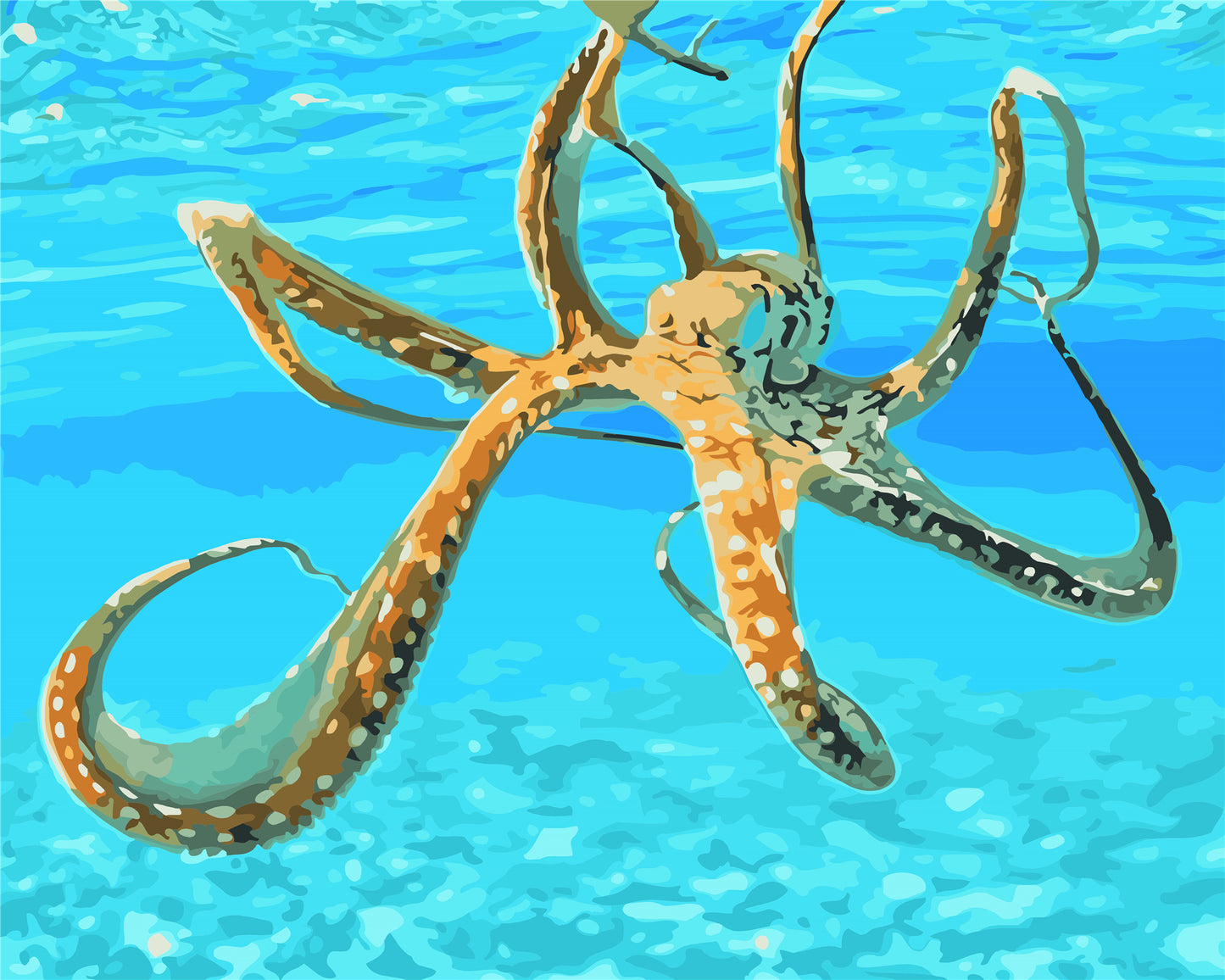 Tier Malen nach Zahlen WM-399