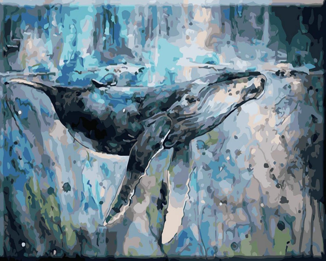 Tier Seel Malen Nach Zahlen Für Erwachsene HQD1381