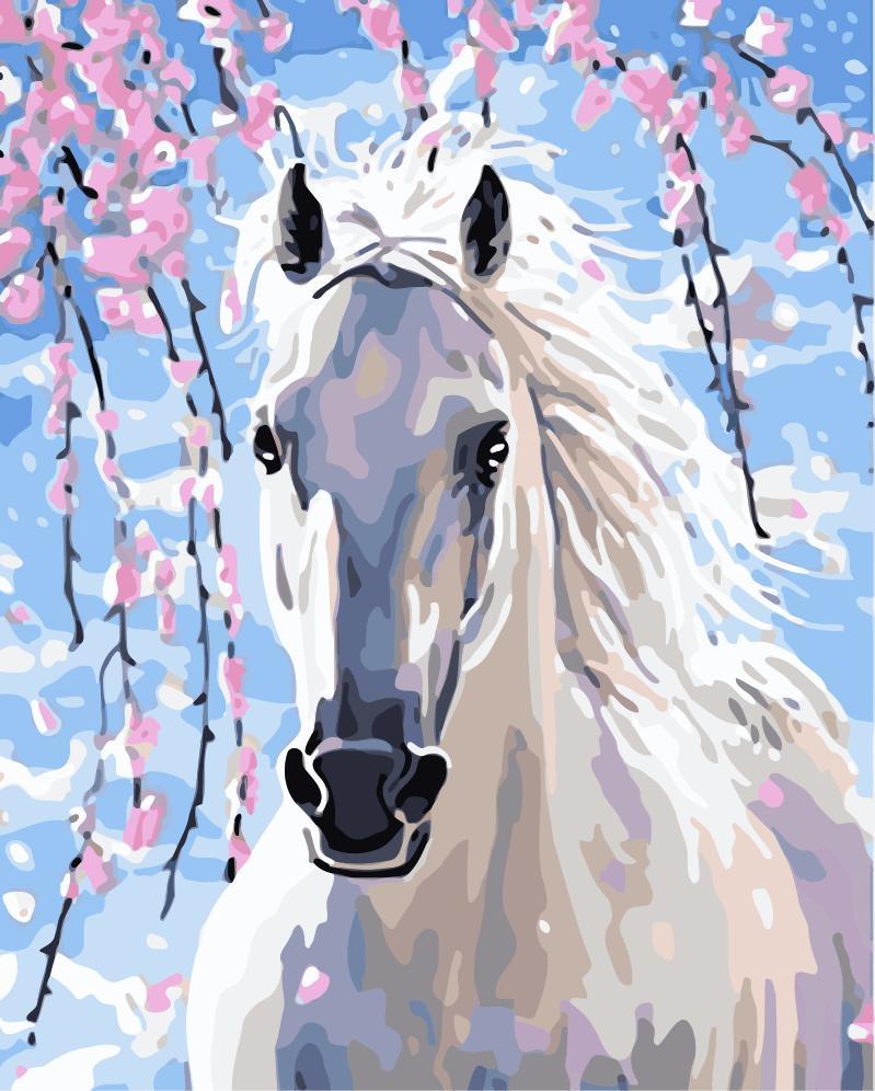 Tier Malen Nach Zahlen WM033