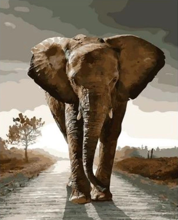 Tier Malen Nach Zahlen XQ1975