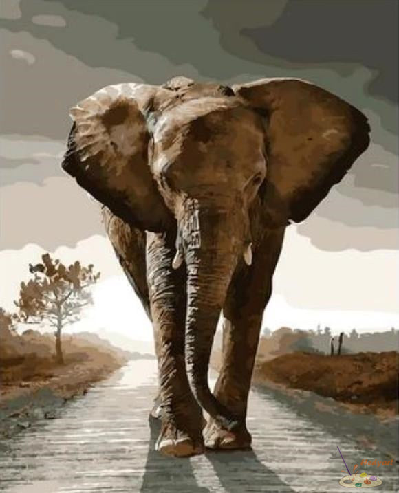 Tier Malen nach Zahlen XQ1975