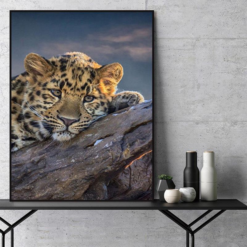 Tier Leopard Malen Nach Zahlen Für Erwachsene Y5302