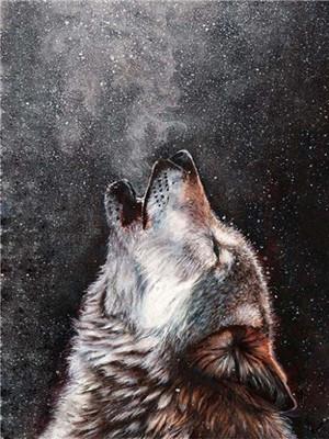 ABEUTY Malen Nach Zahlen – Wolfshund Ölgemälde Auf Leinwand 40x50 Cm, DIY Kits Für Erwachsene