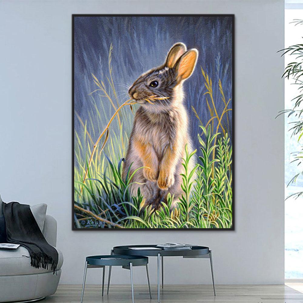 Tier Hase Malen Nach Zahlen Für Erwachsene Y5647