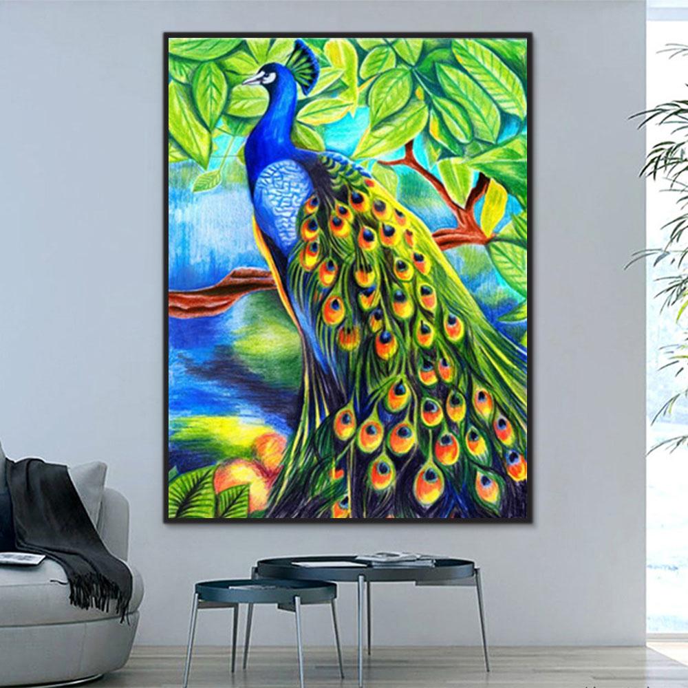 Pfau Malen Nach Zahlen Hard Y5807